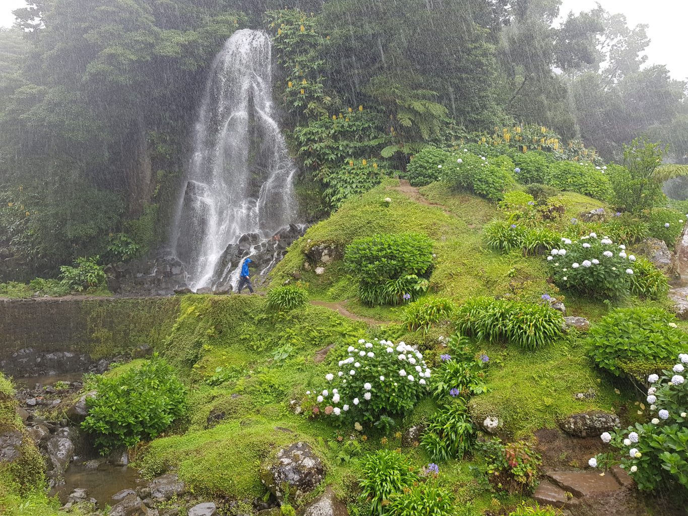 Azores waterfall